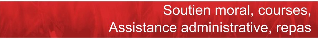 aide service domicile repas livraison courses Rennes